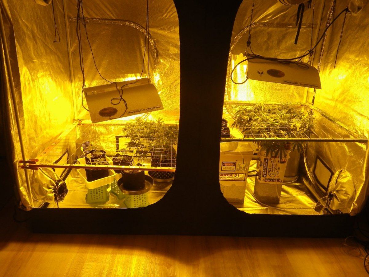 New tent 039
