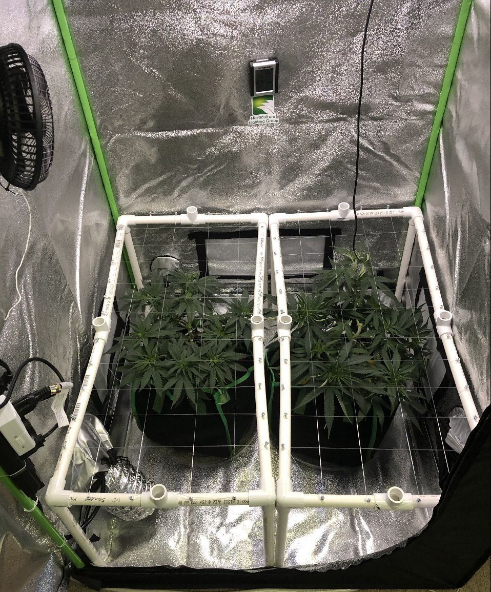 New tent