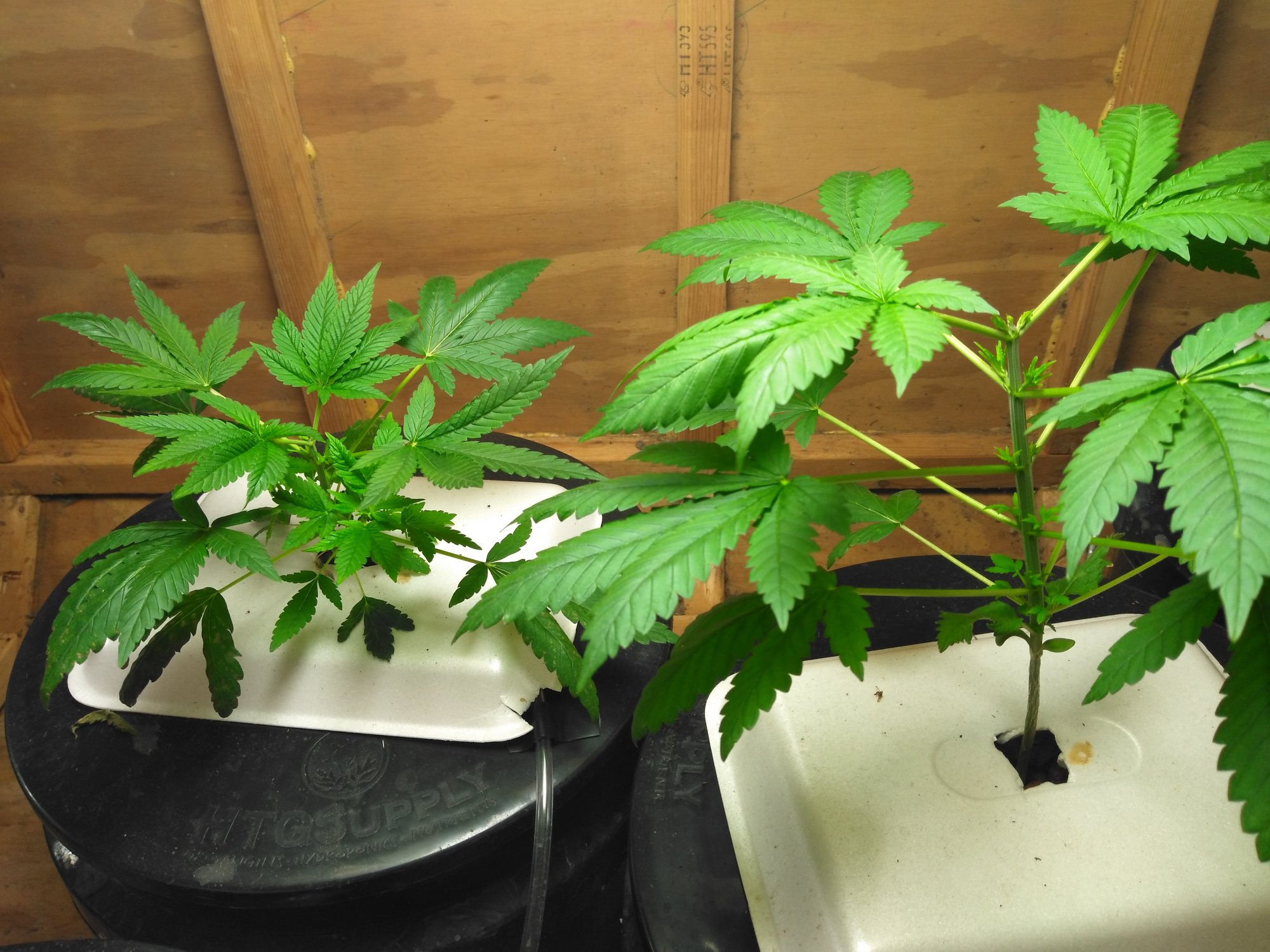 New to dwc 9