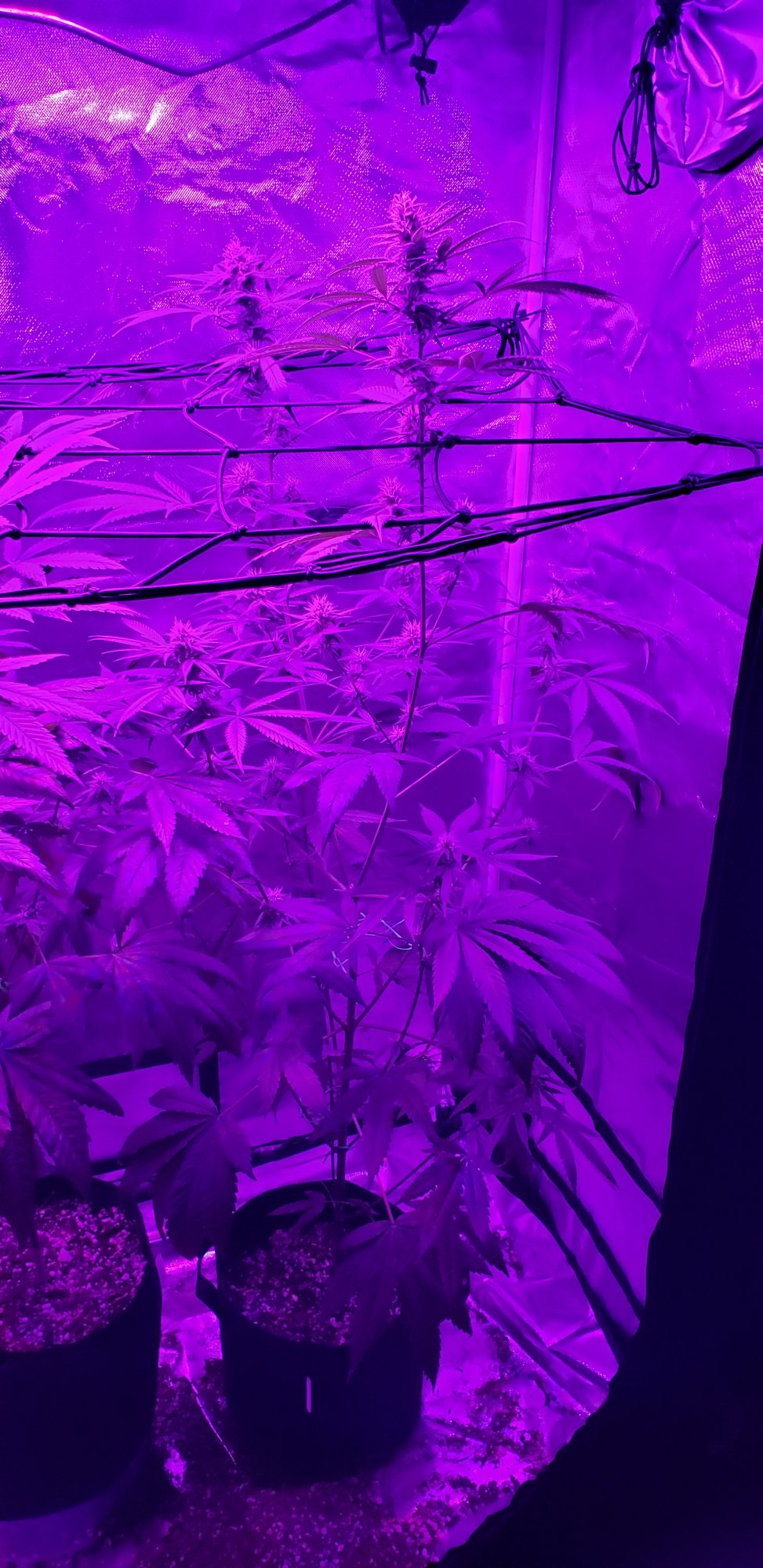 New to growing 5