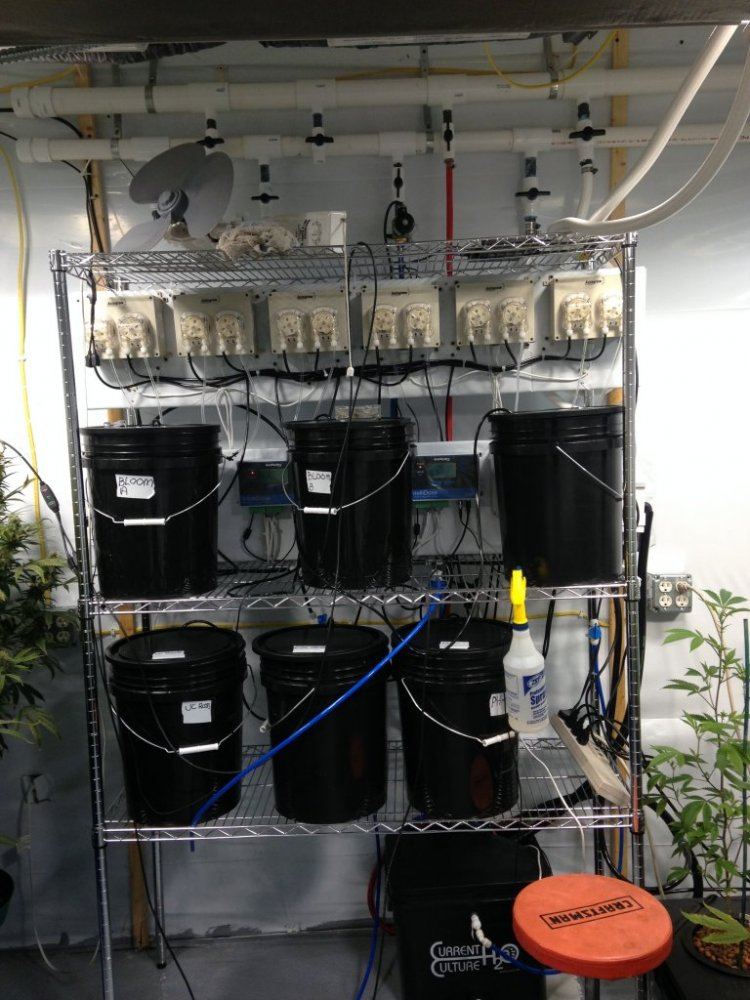 New to under current using cultured solutions 3