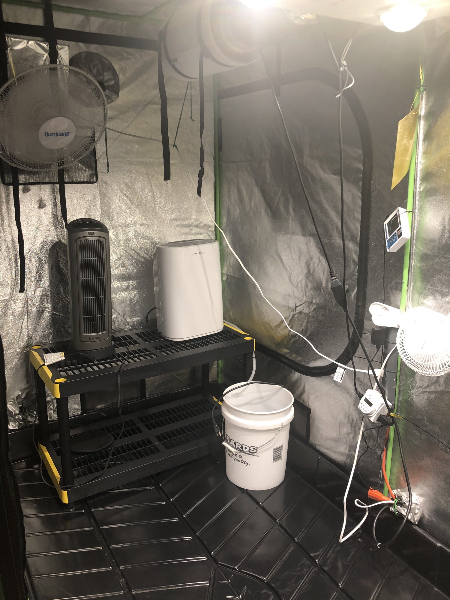 Newb on 3rd grow 5