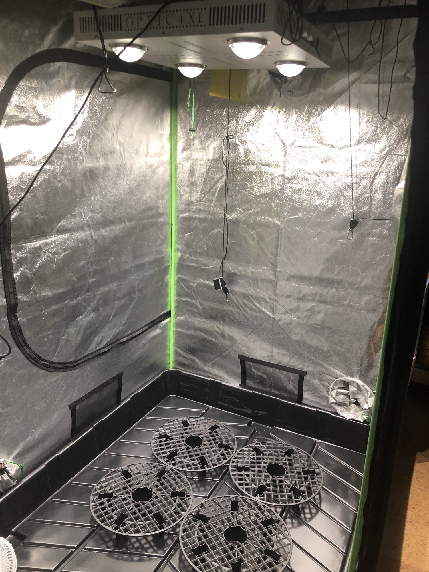 Newb on 3rd grow 6
