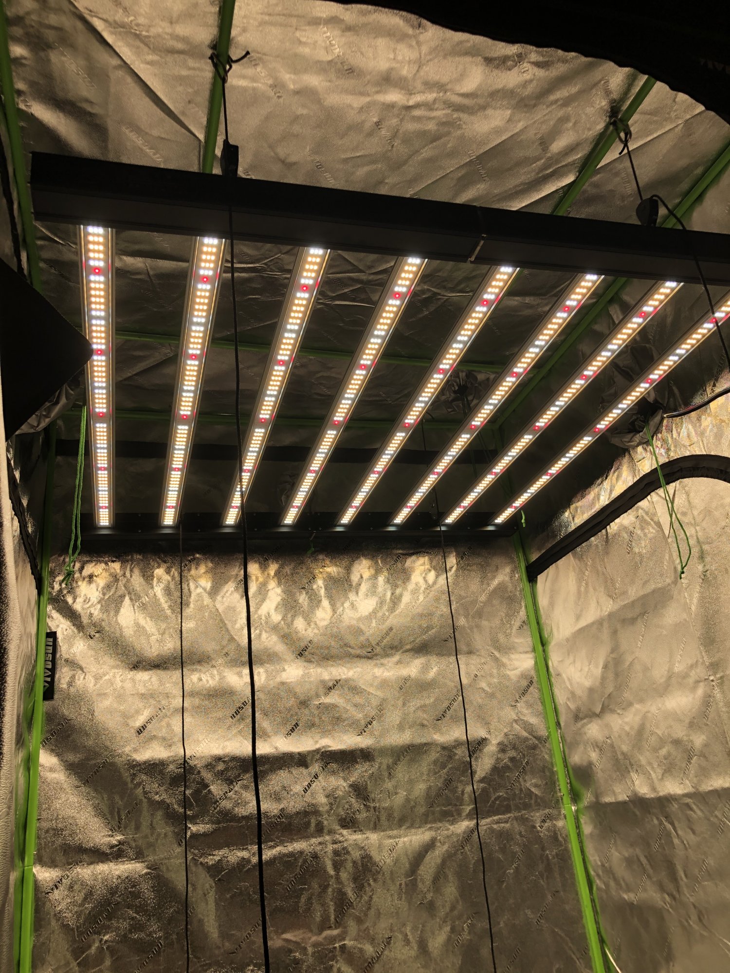 Newb on 3rd grow 8