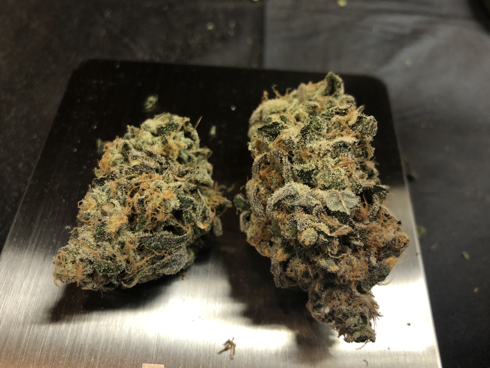 Newb on 3rd grow 9