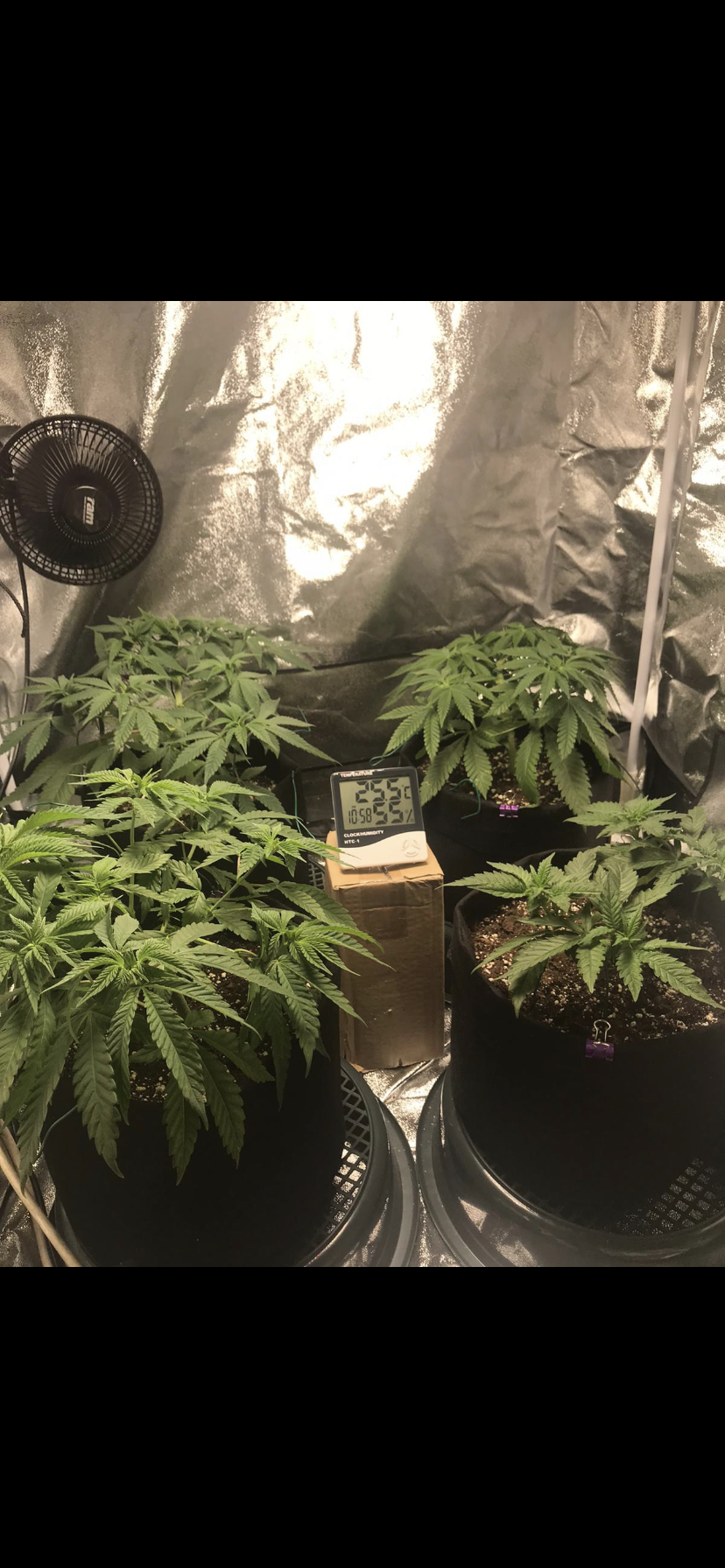 Newbie after some guidance