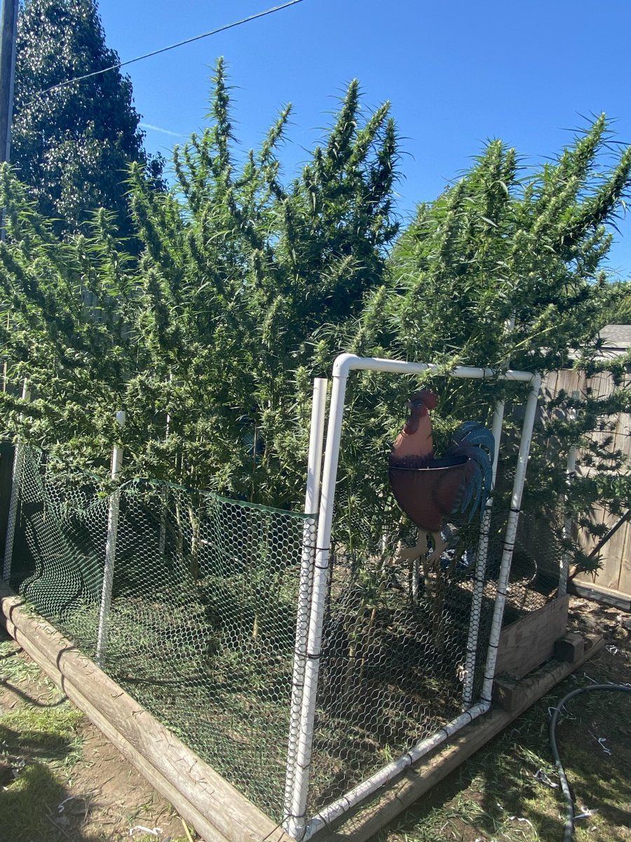 Newby looking for any advice 3