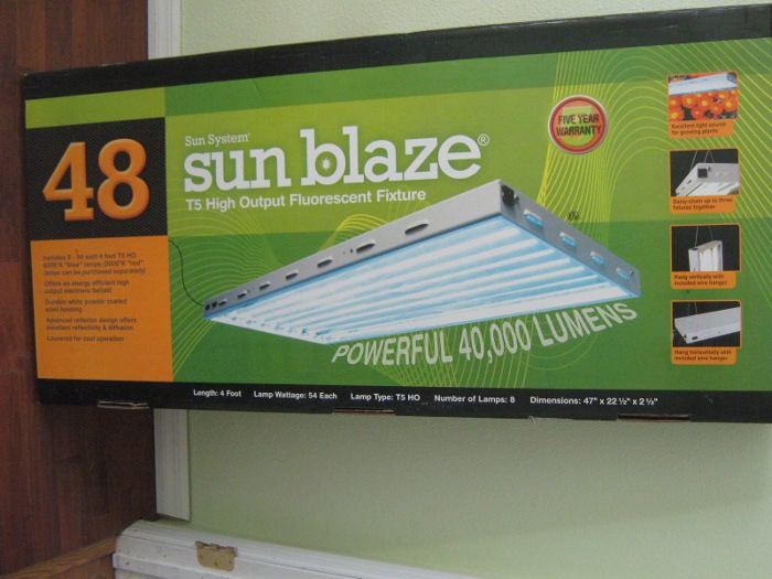 Newlite