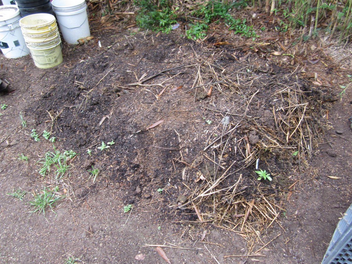 NewMulch1