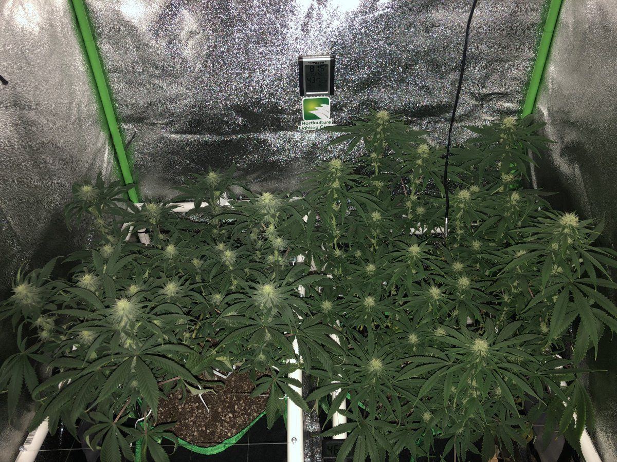 Night group shot