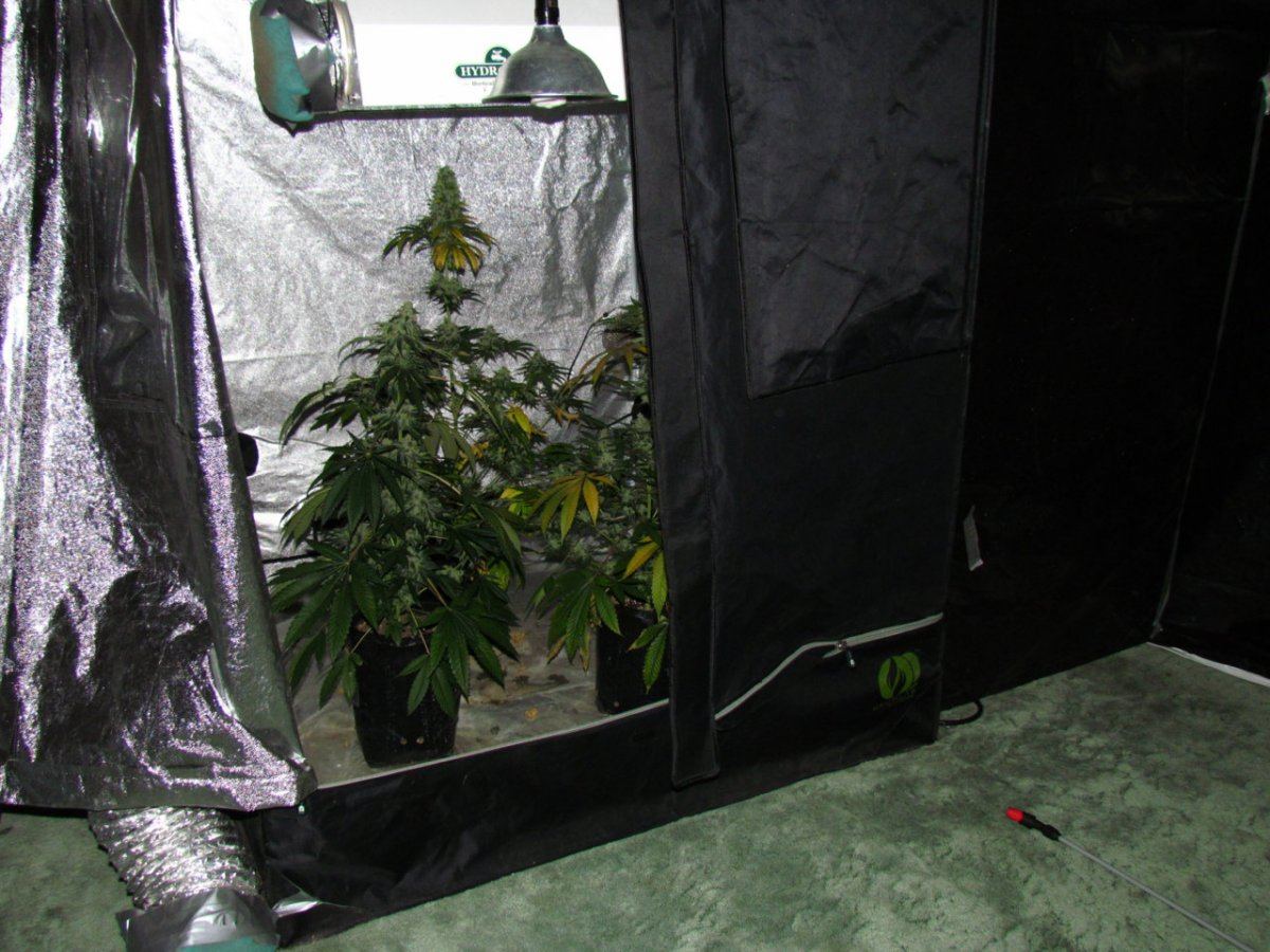 Night shots OG1QB 003