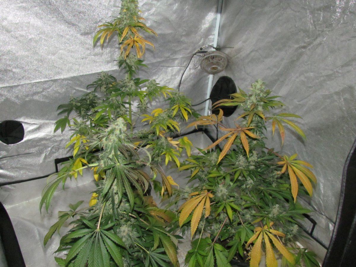 Night shots OG1QB 016