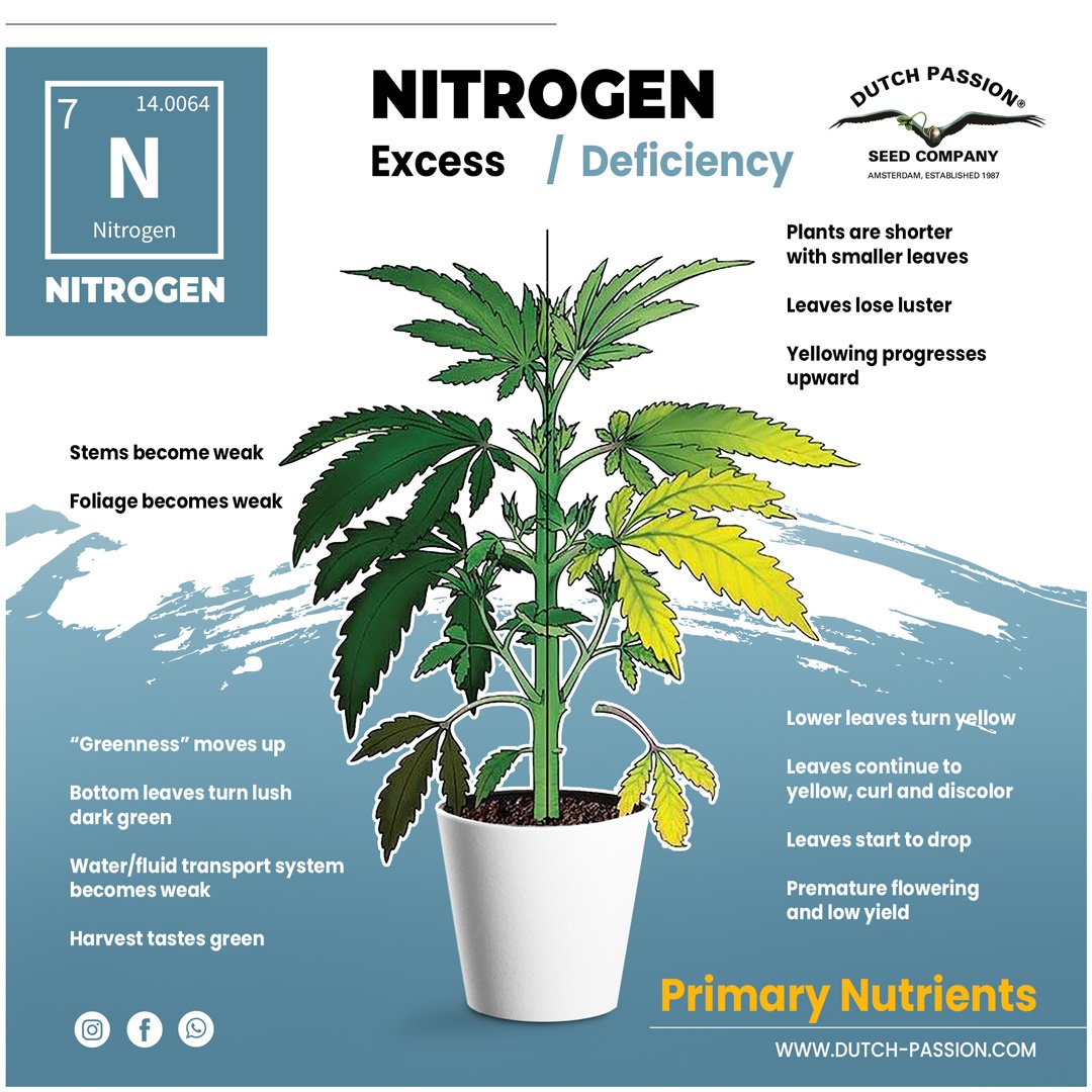 Nitrogen