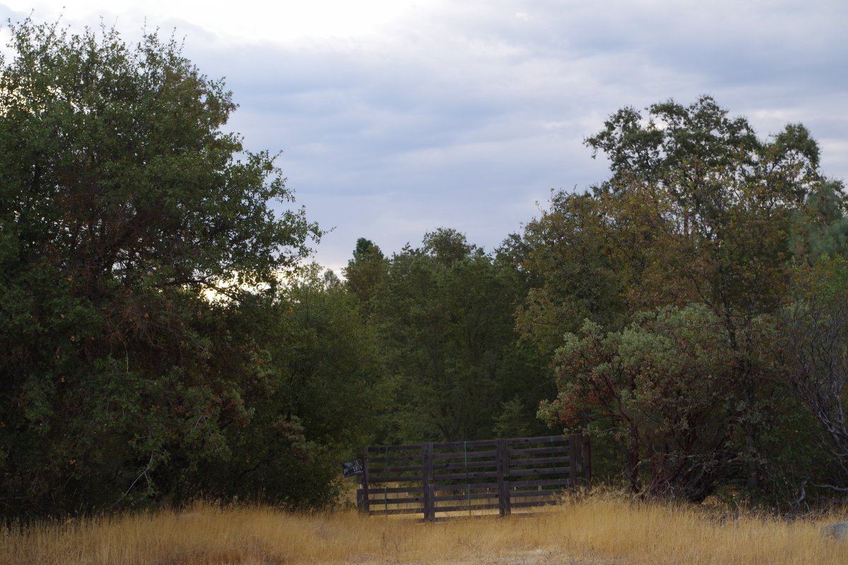 No Tresspassing 2309