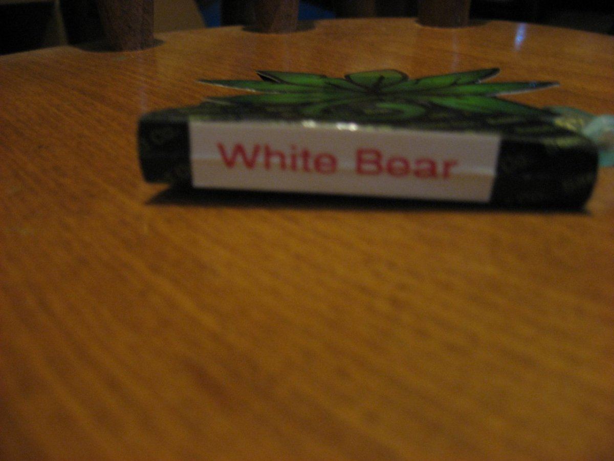 Noobs white bear test run