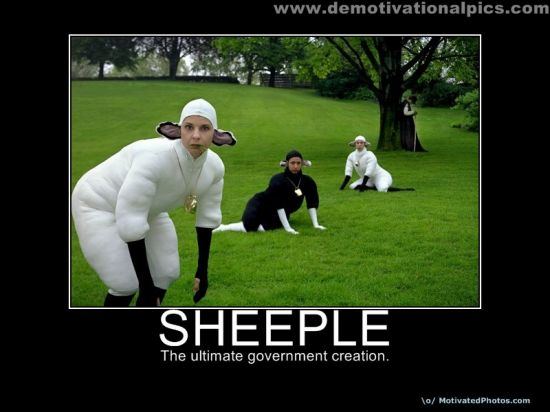 Normal 633564940352646100 sheeple