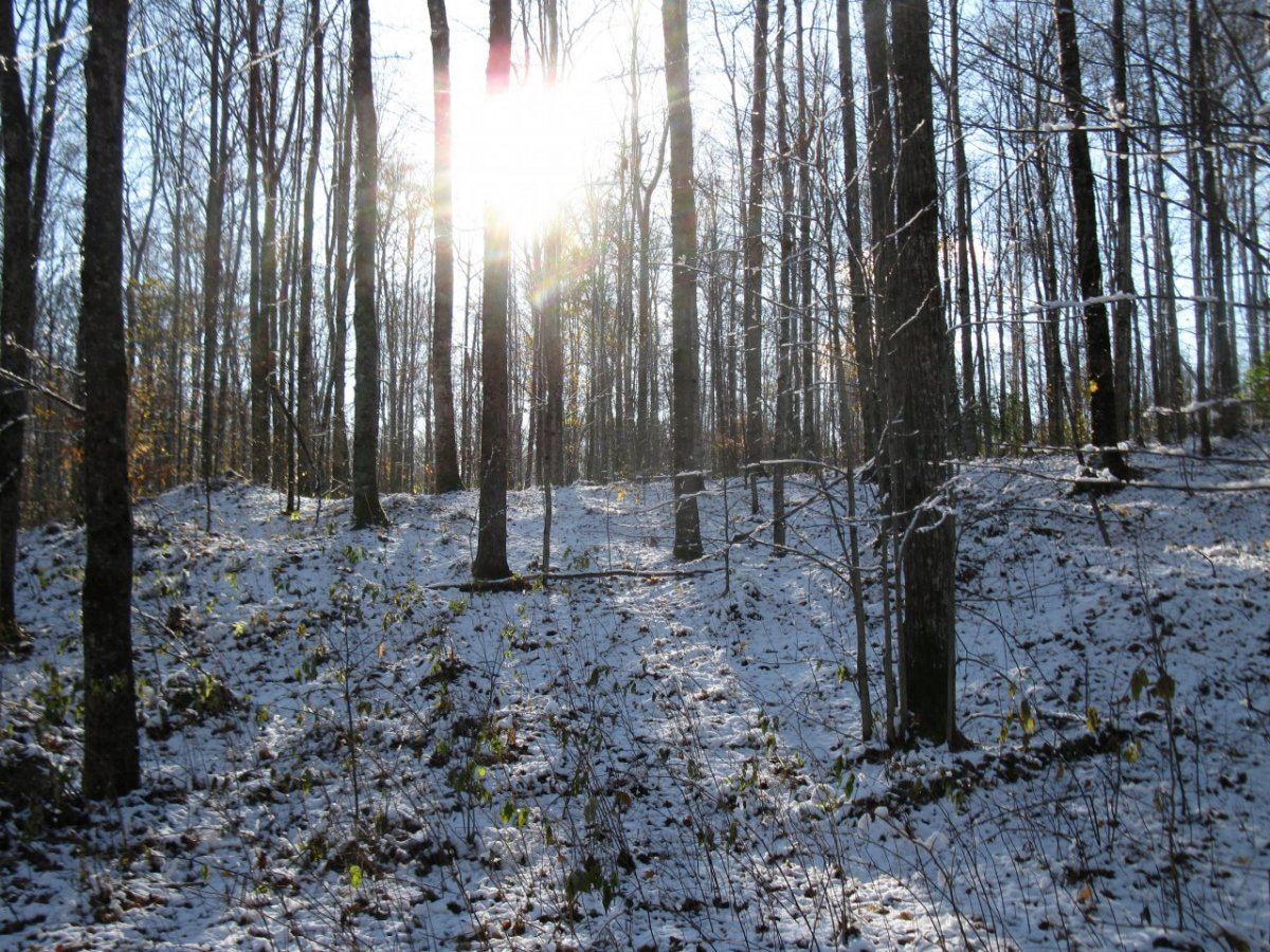 North camp 11 1 14 008
