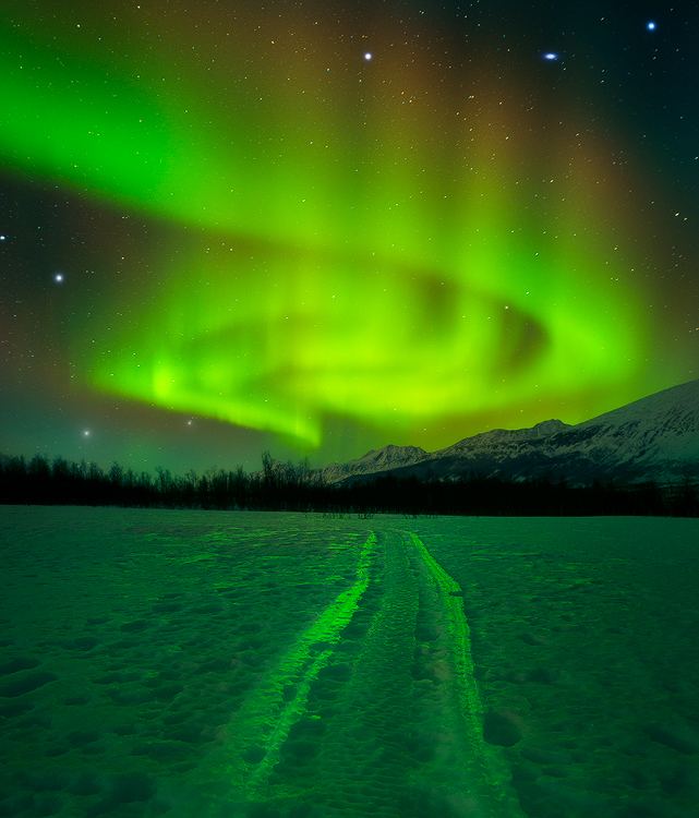 Northern Lights Norway1
