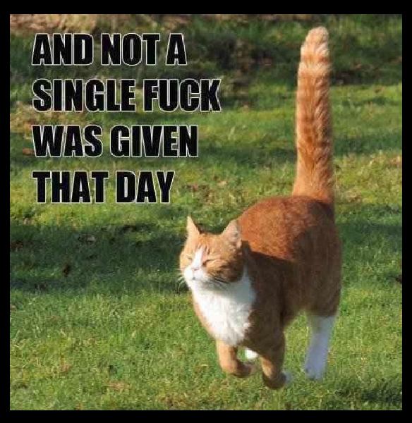 Not a single fuck