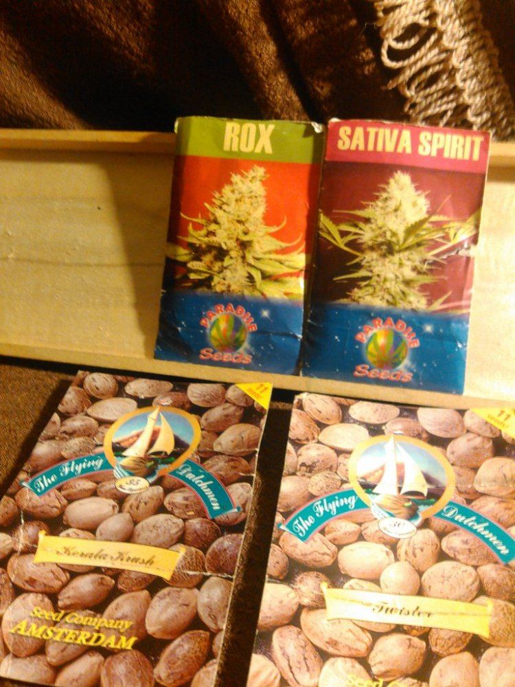Novelty seeds 2015  old stuff 3