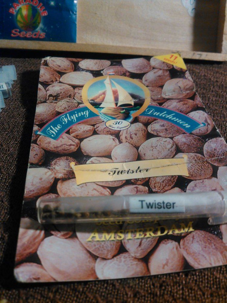 Novelty seeds 2015  old stuff 4