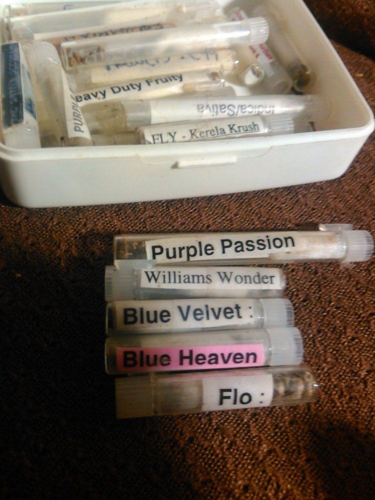 Novelty seeds 2015  old stuff 7