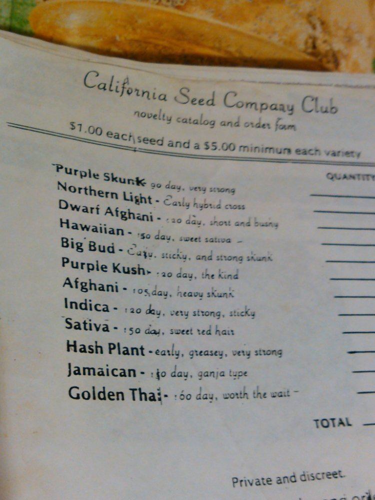 Novelty seeds 2015  old stuff 8