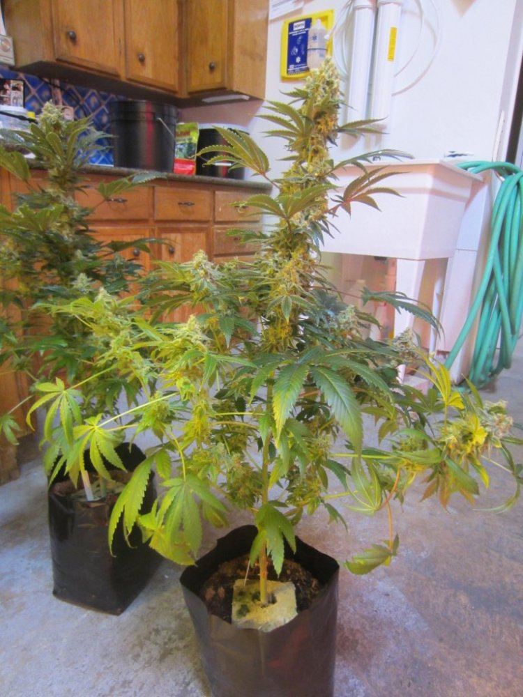 November 2012 022