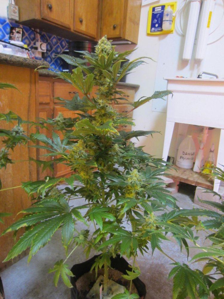 November 2012 023