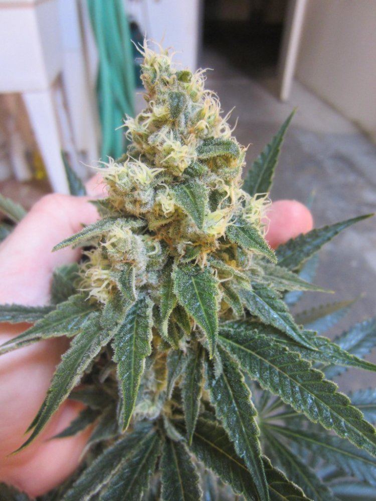 November 2012 025