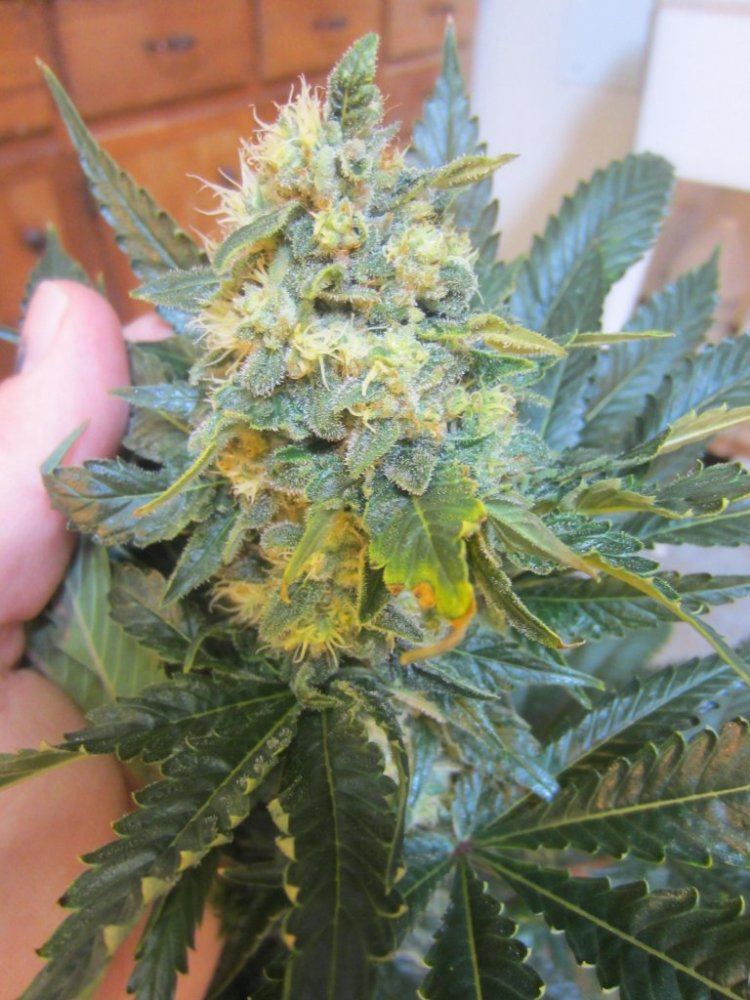 November 2012 026