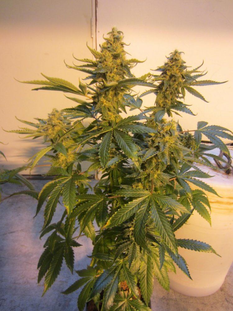 November 2012 028