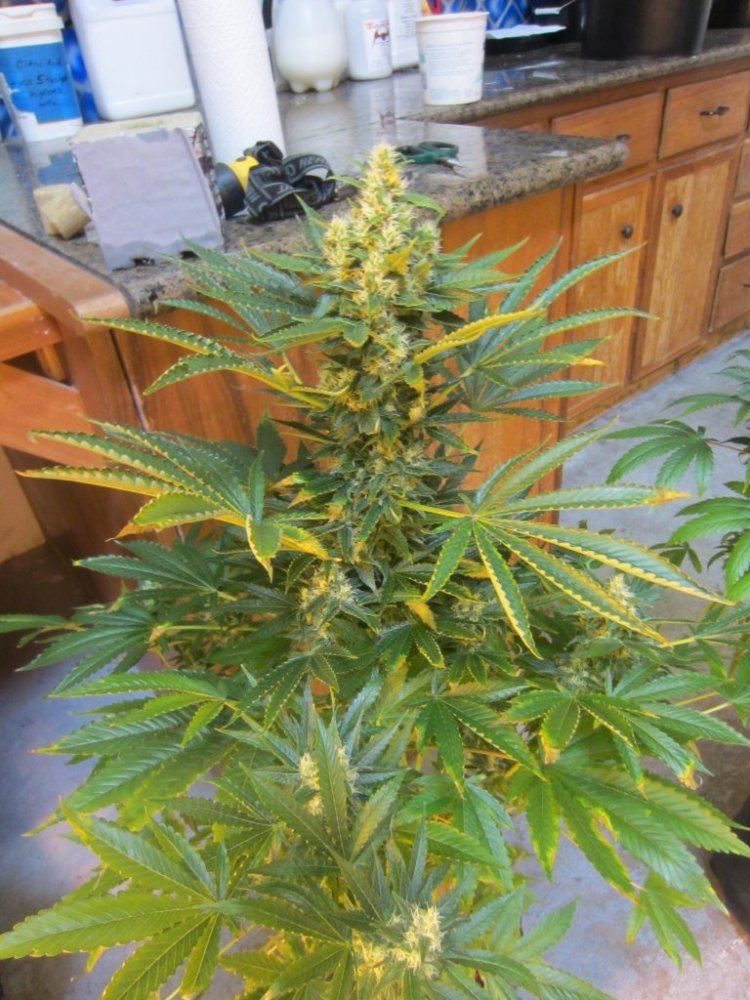 November 2012 033