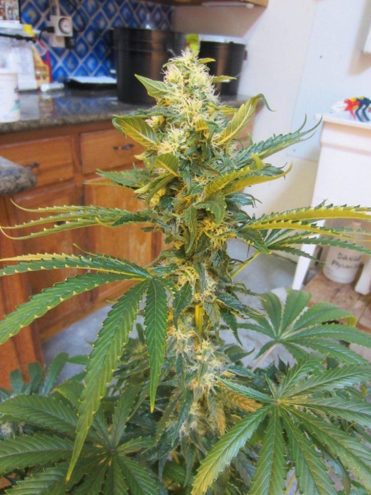 November 2012 034