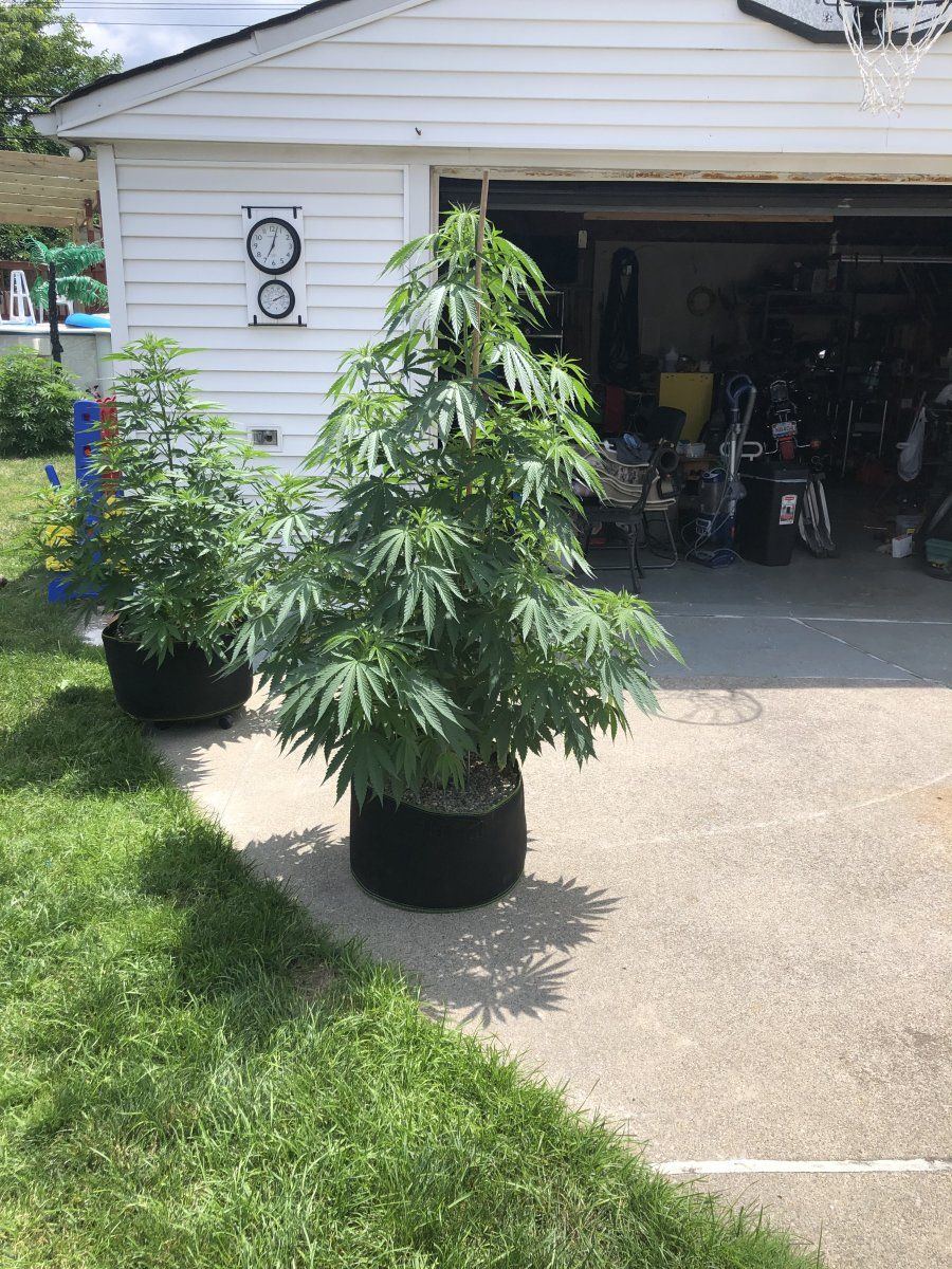 Novice looking for any tips and tricks 11