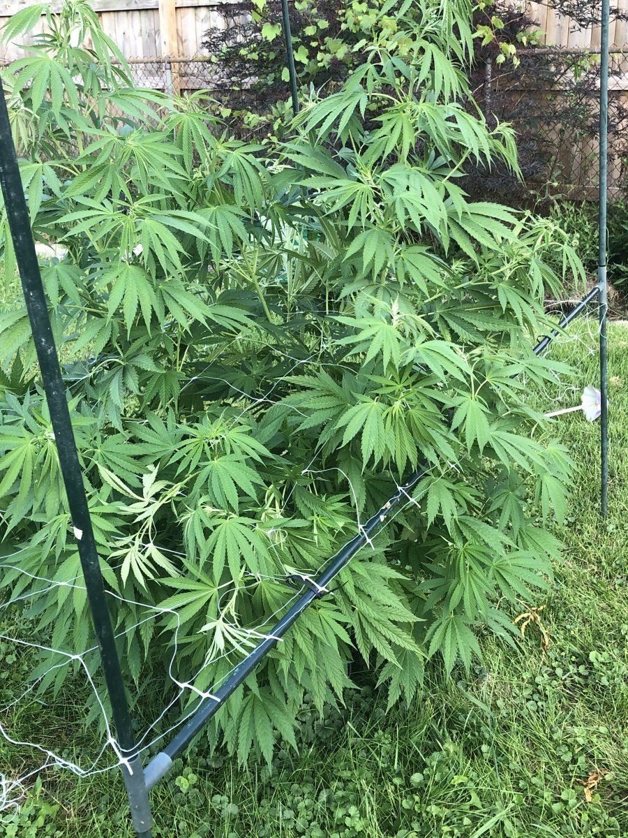Novice looking for any tips and tricks 5