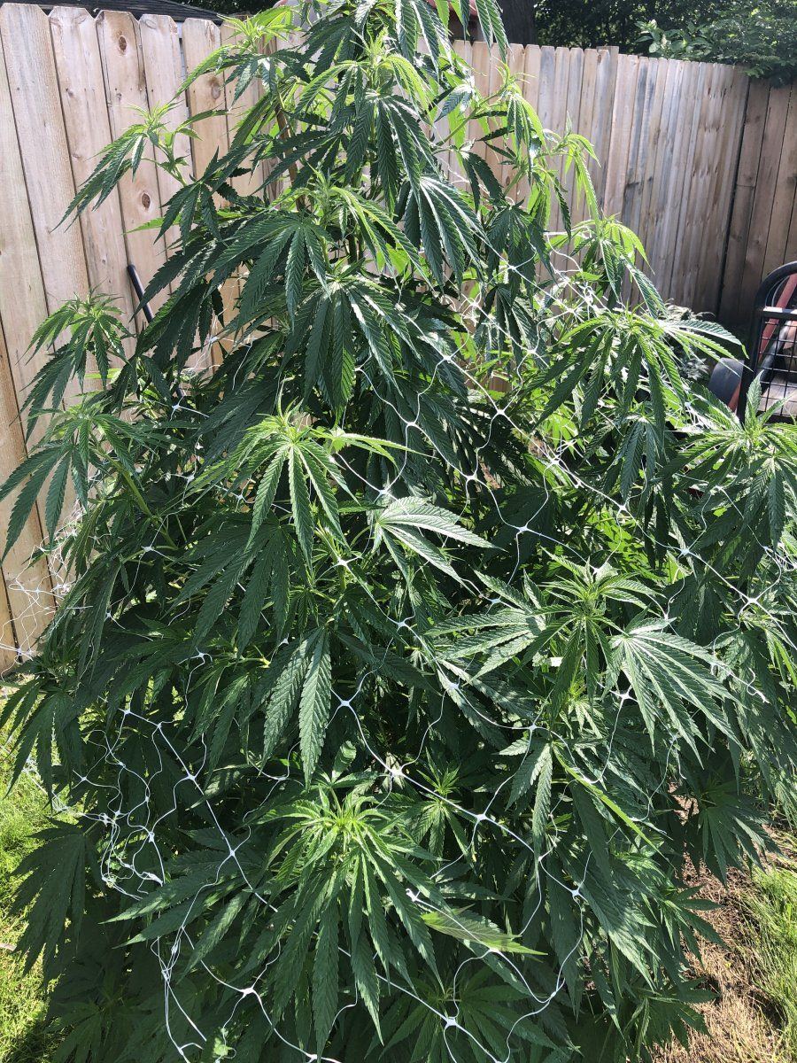Novice looking for any tips and tricks 6