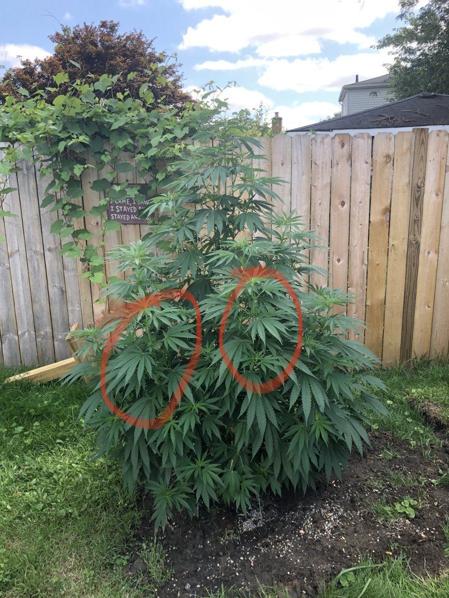Novice looking for any tips and tricks 7