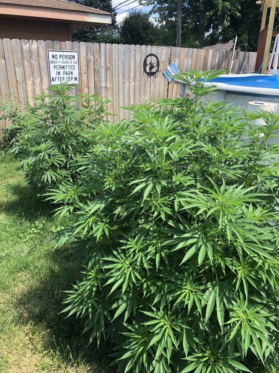 Novice looking for any tips and tricks 8