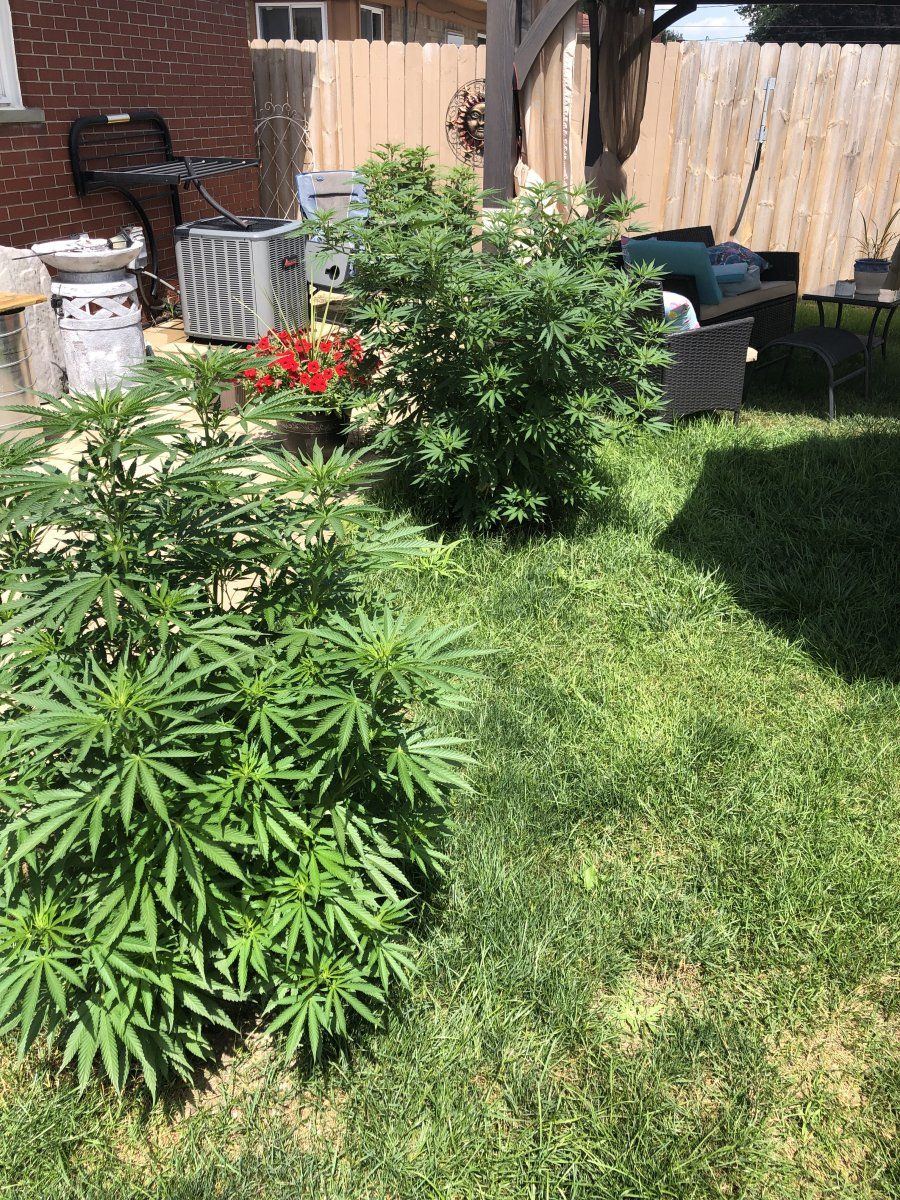 Novice looking for any tips and tricks 9