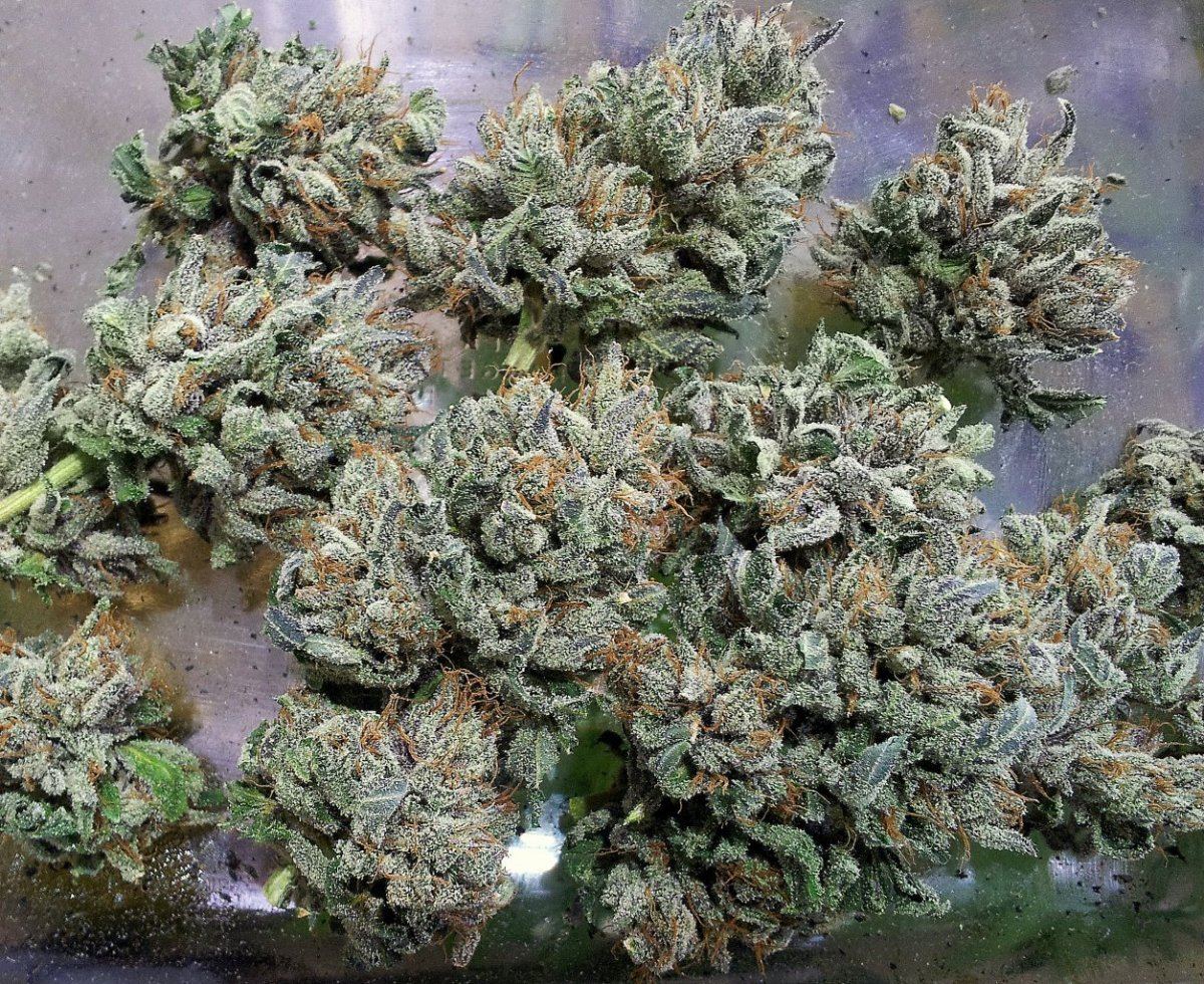 Npkb1