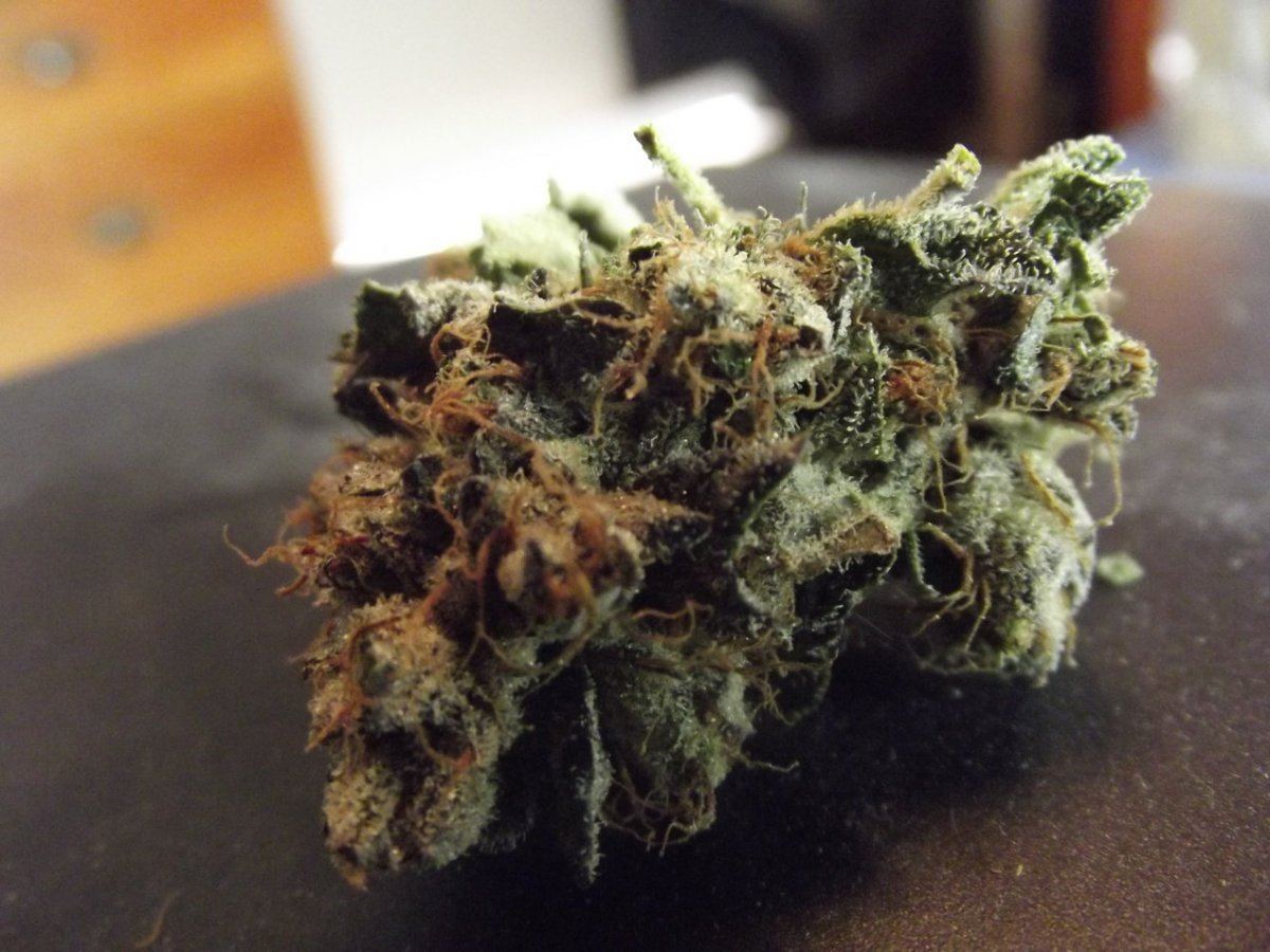 Nug shots 4