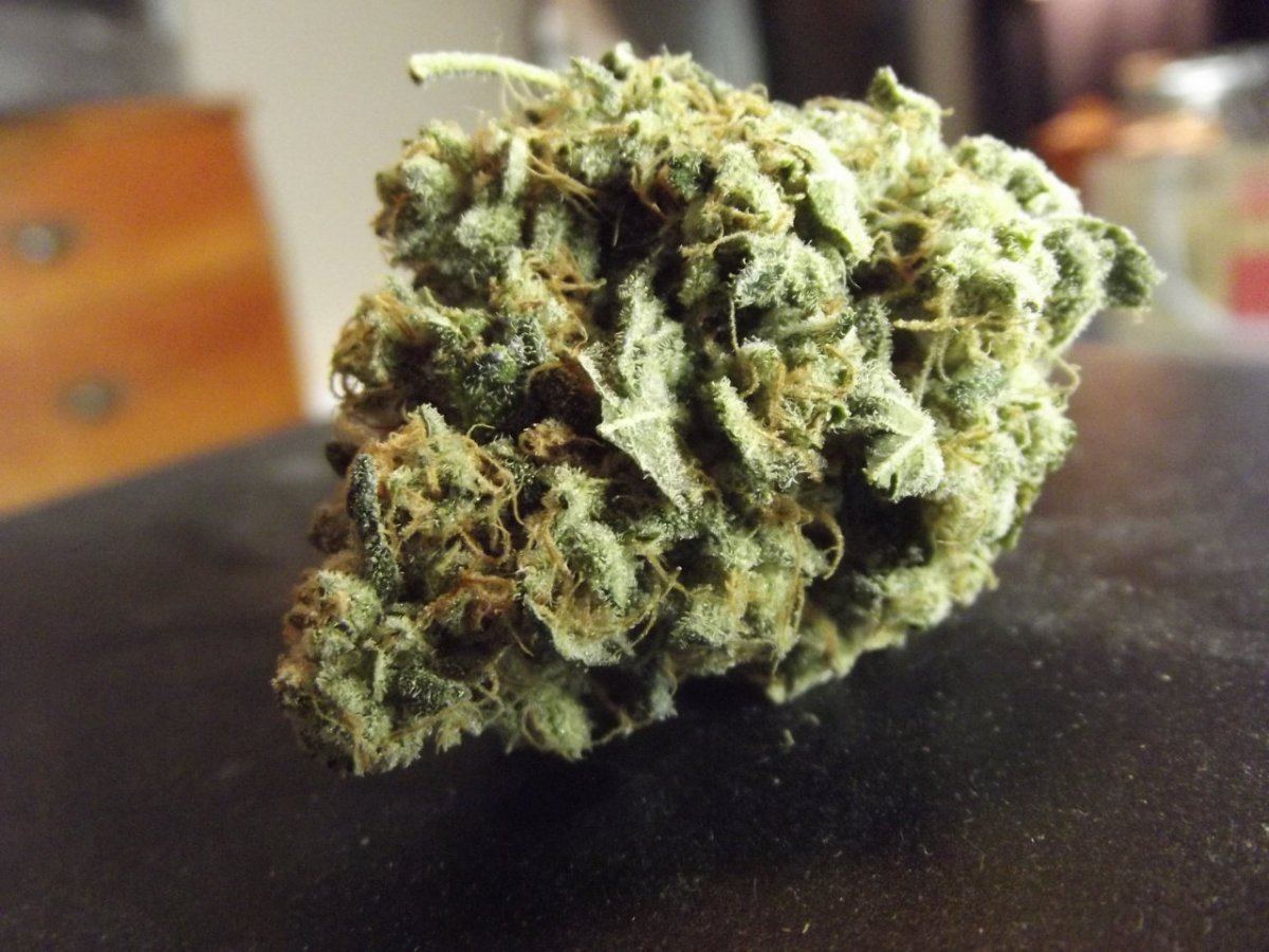 Nug shots 5