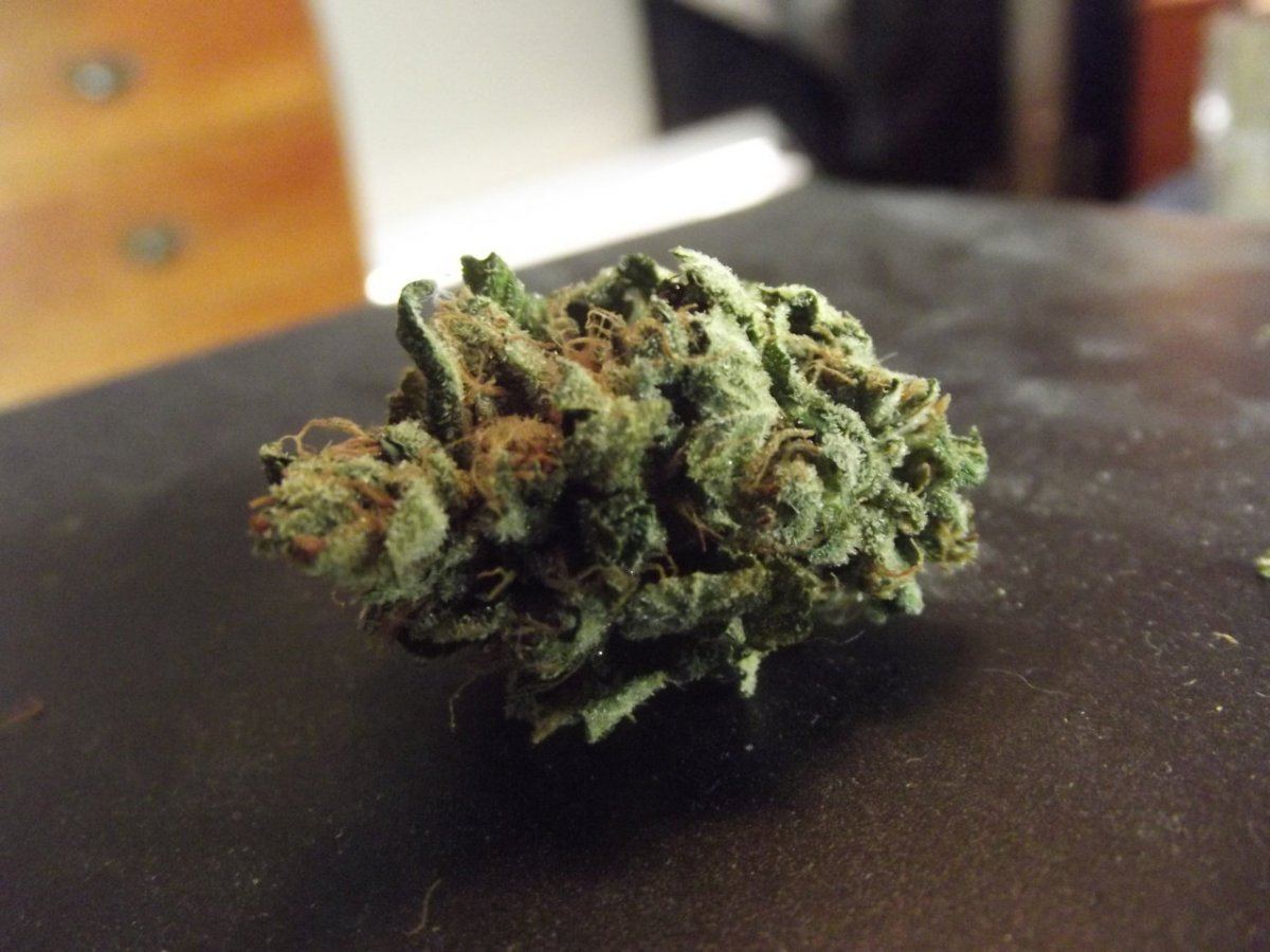 Nug shots 6