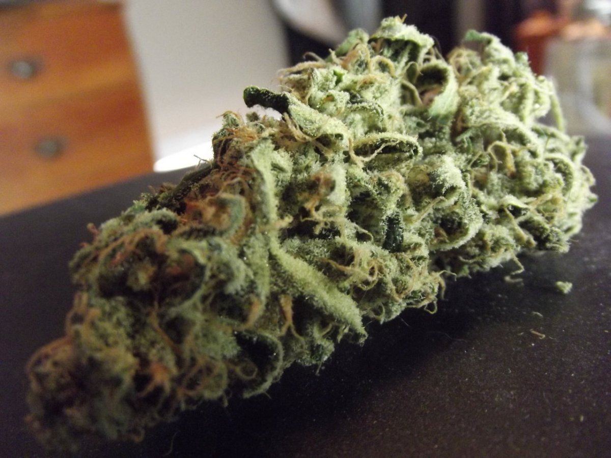 Nug shots 7