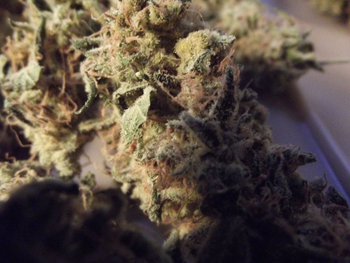 Nug shots 8