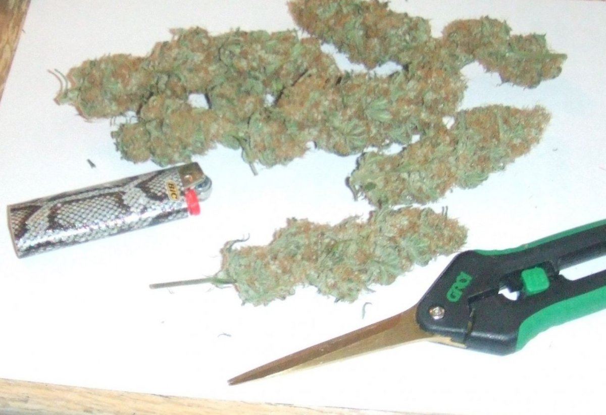 Nug1