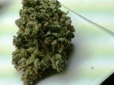 Nug2