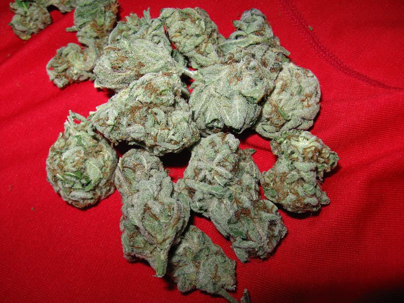 Nugfd2
