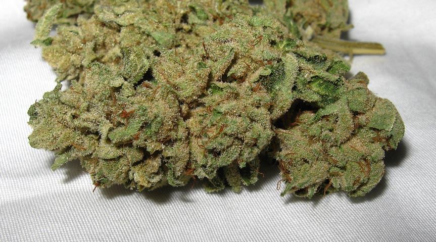 Nuggit
